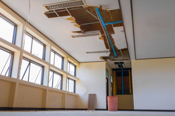 Best Water damage restoration experts  in Ogdensburg, NY