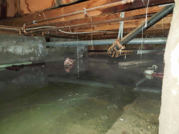 Best Flood restoration services  in Ogdensburg, NY