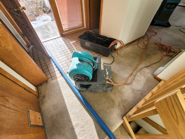 Best Water damage contractors near me  in Ogdensburg, NY