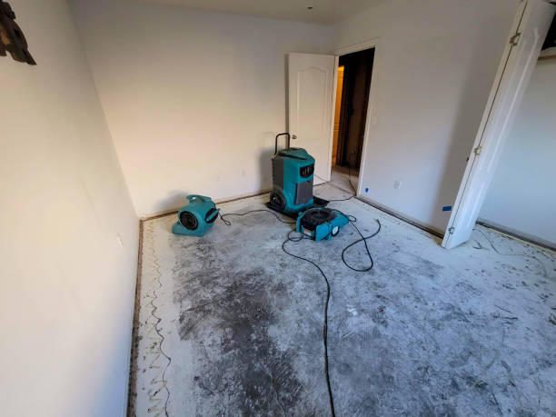 Best Emergency water damage restoration  in Ogdensburg, NY