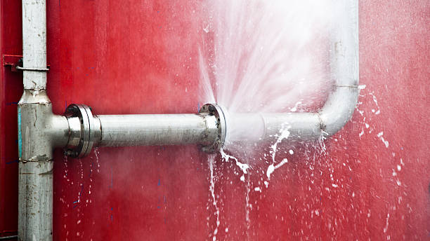 Best Flooded house restoration  in Ogdensburg, NY