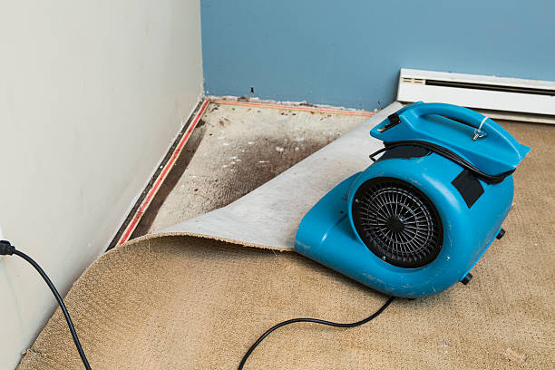 Best Water damage restoration near me  in Ogdensburg, NY